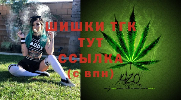 соль курить ск Алзамай