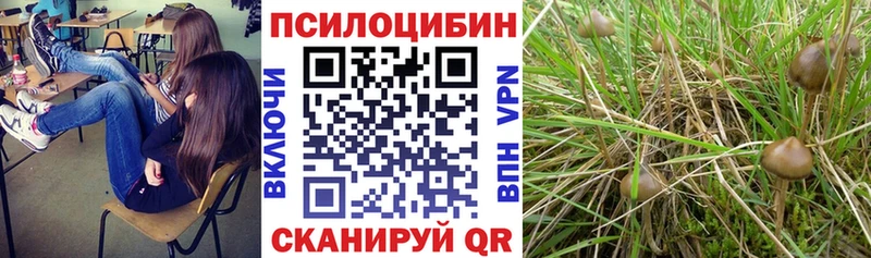 Галлюциногенные грибы MAGIC MUSHROOMS  закладки  Слободской 